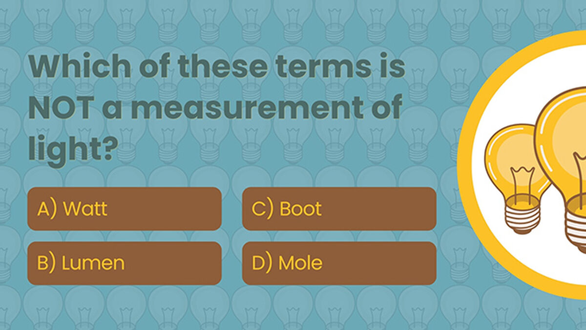 Light Trivia image number null